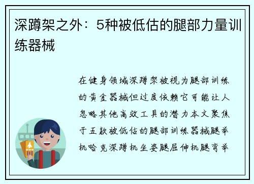 深蹲架之外：5种被低估的腿部力量训练器械